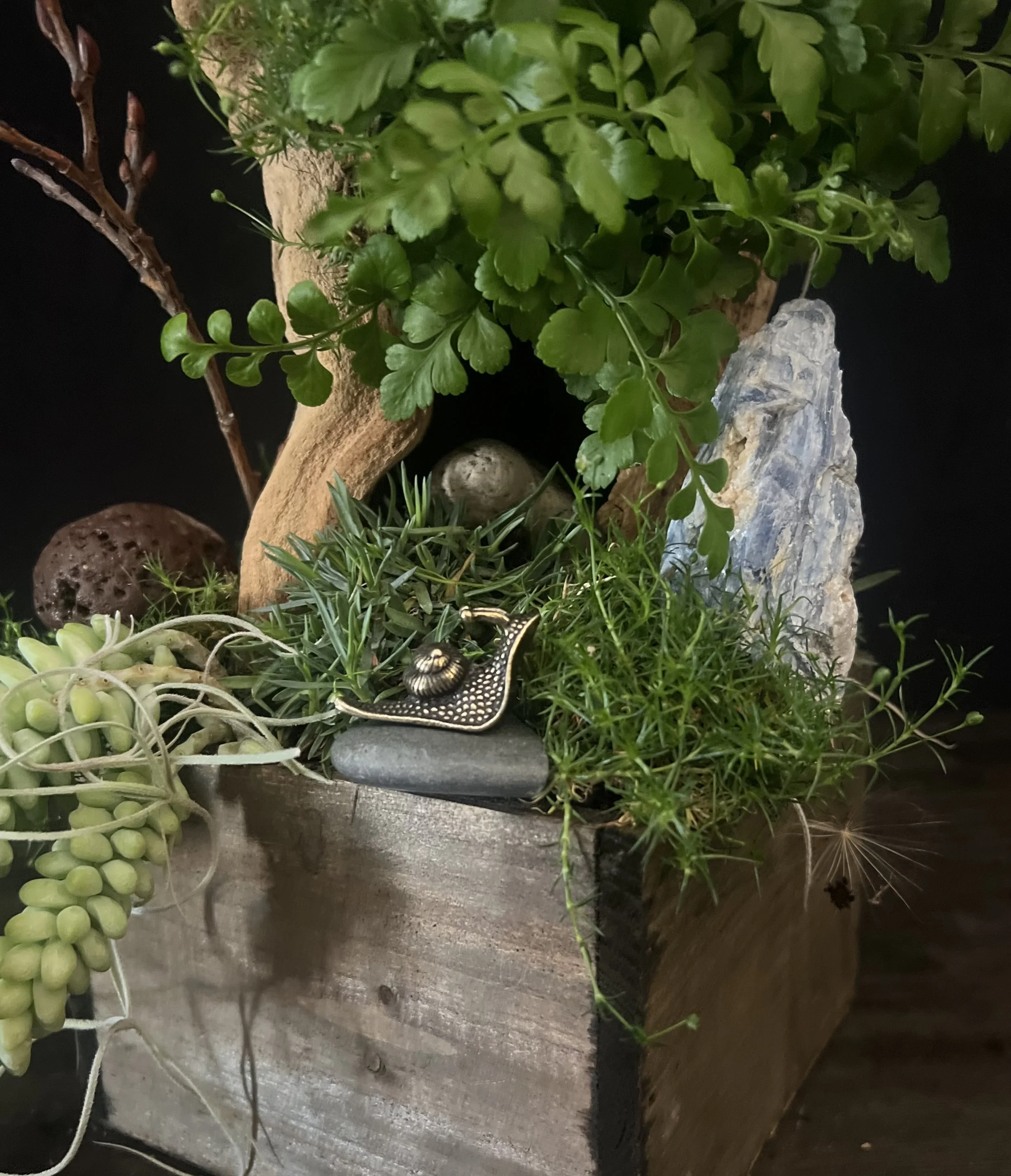 Ferns and Green Plants Miniature.jpeg