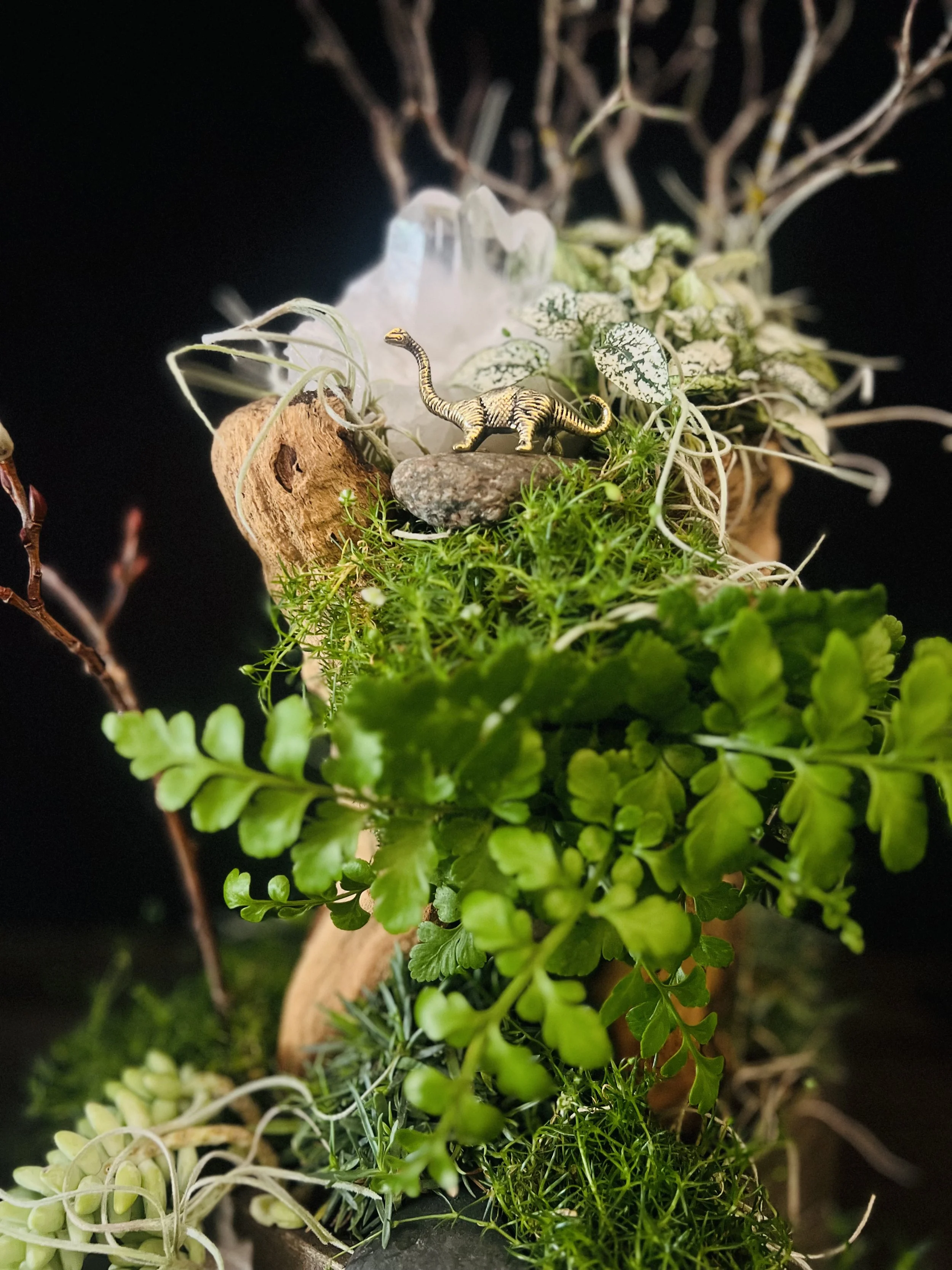 Miniature Gardens Dinosaur.jpeg