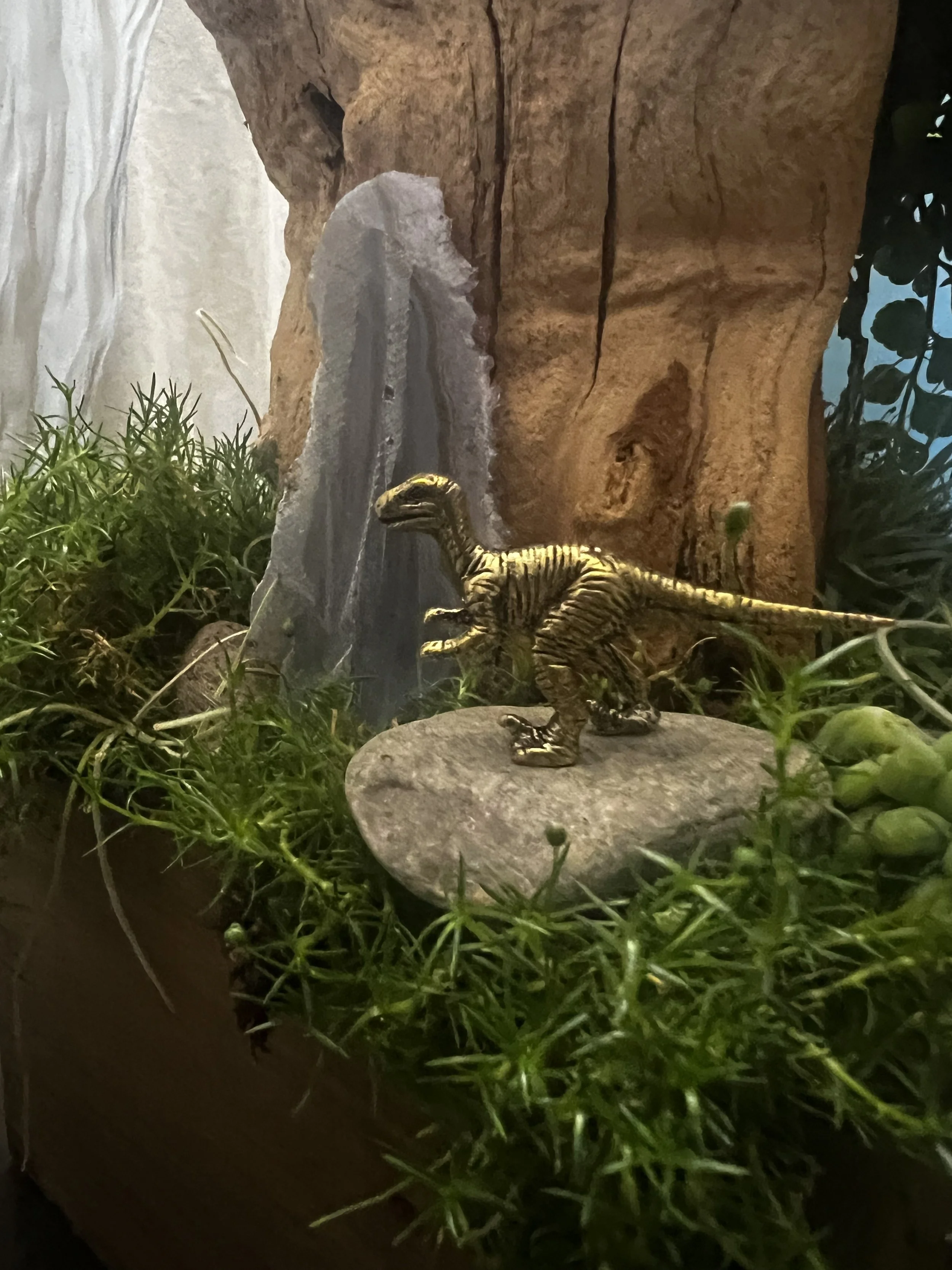 Miniature Gardens TRex.jpeg