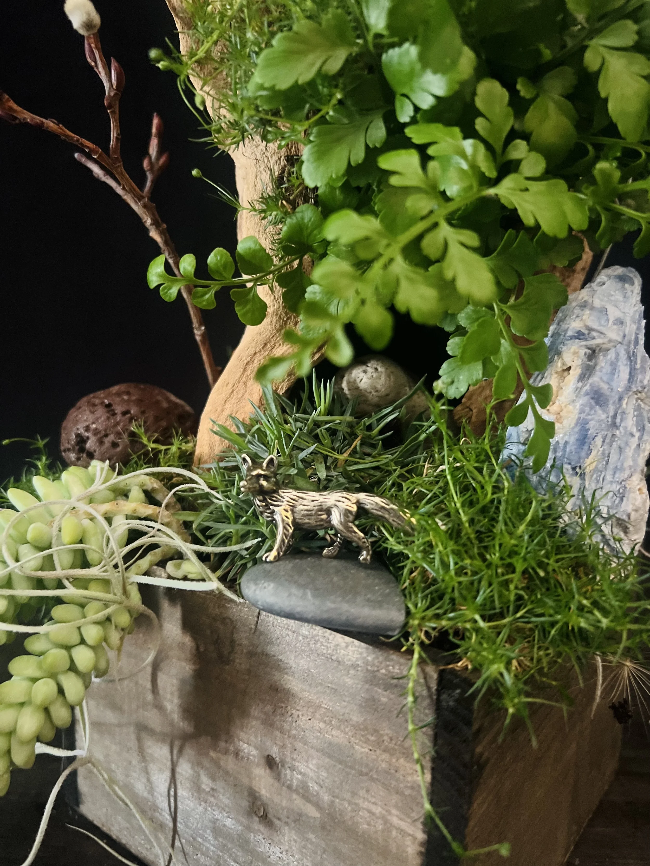 Desktop Garden with Fox.jpeg
