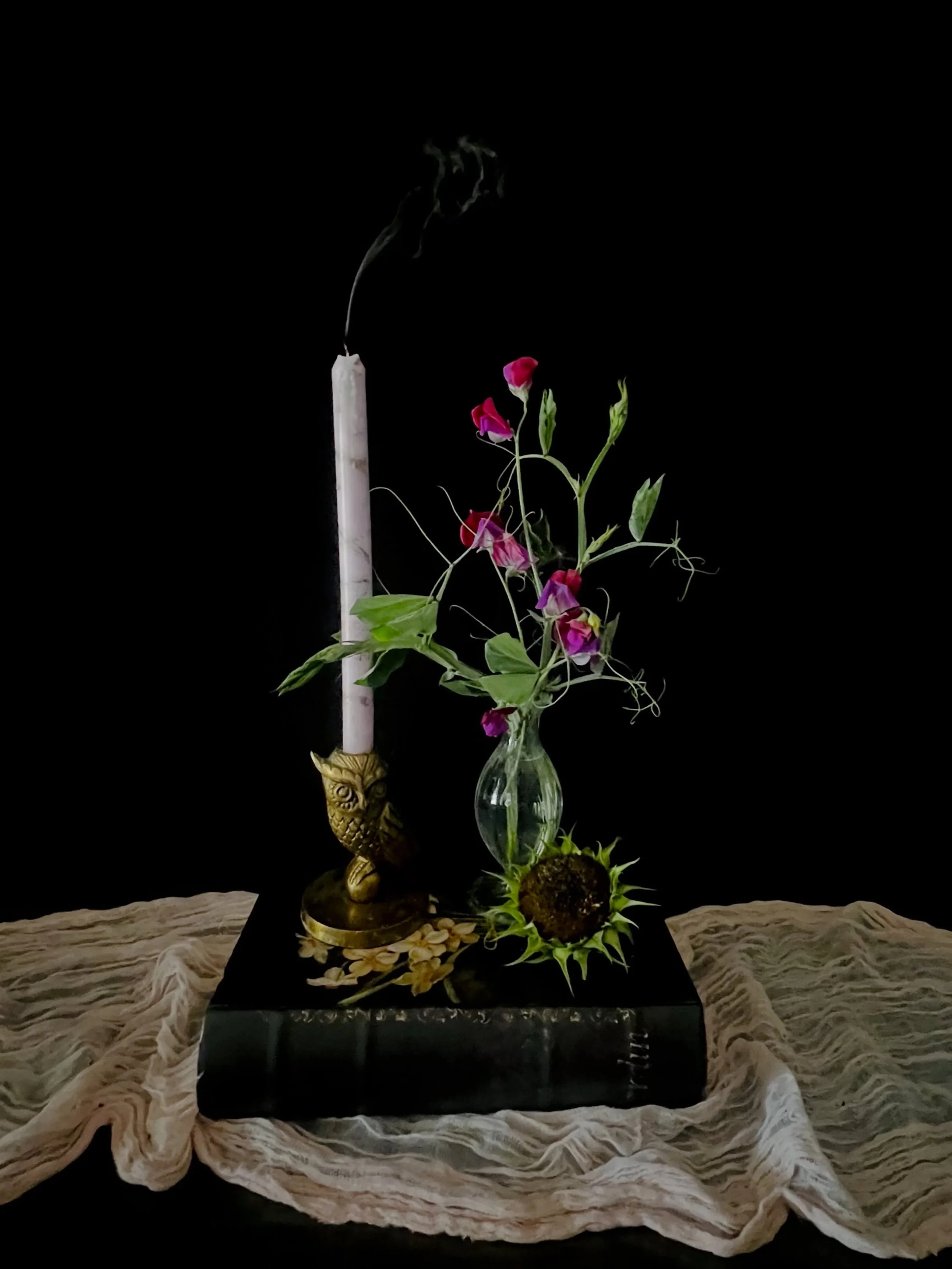 Sweetpeas from @theabbeyatevergreen gardens. 

Dutch still life inspired photography | flowers and art | farmer florist | Downtown Riverside California