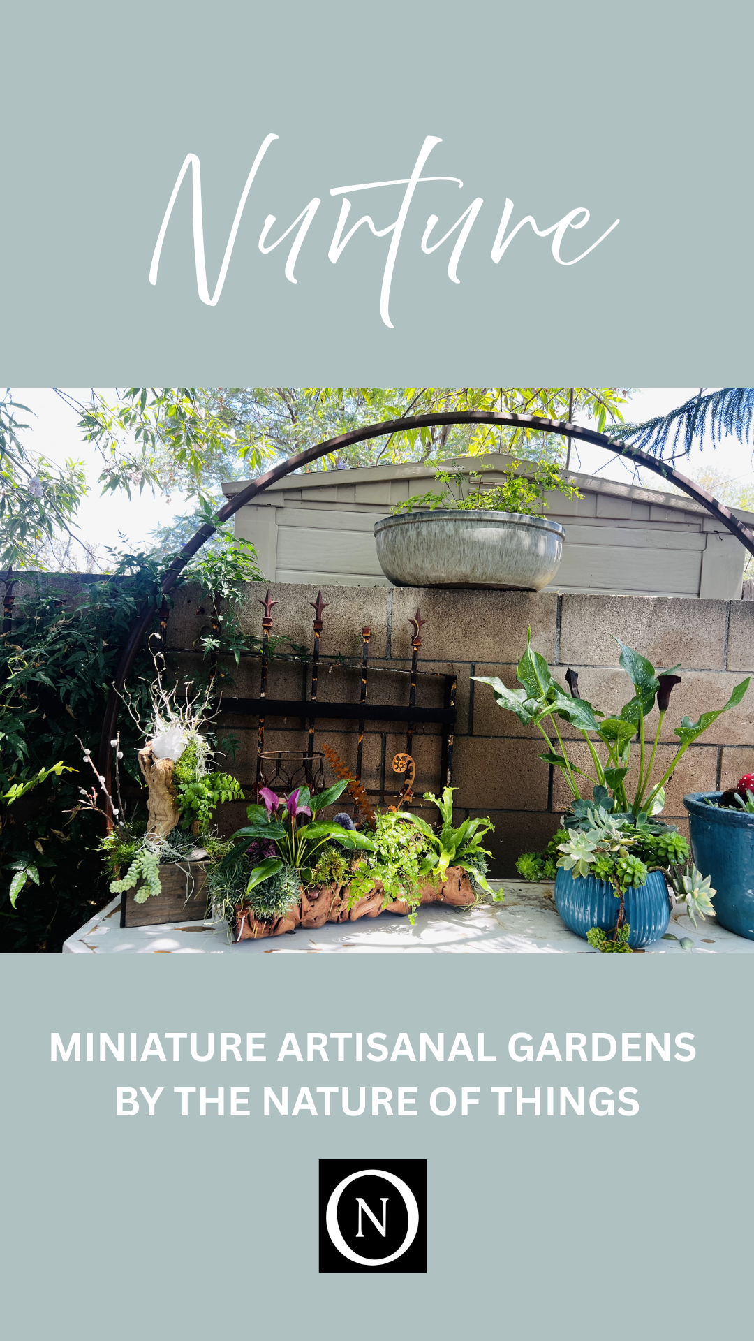 Miniature Tabletop Gardens: A Living Gift from The Nature of Things Fine Flowers