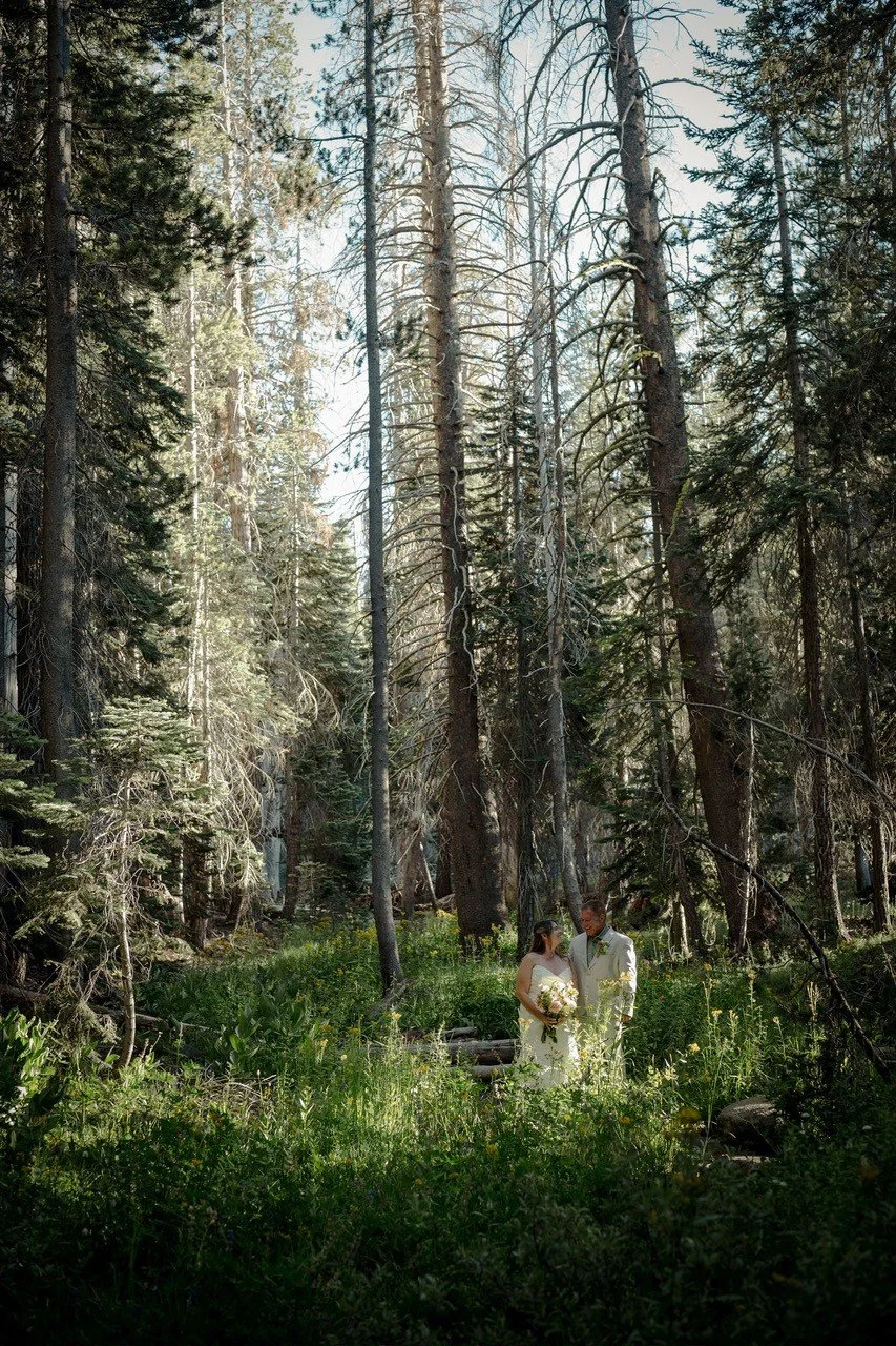 Yosemite National Park Elopements: A Wildly Romantic Way to Say “I Do”
