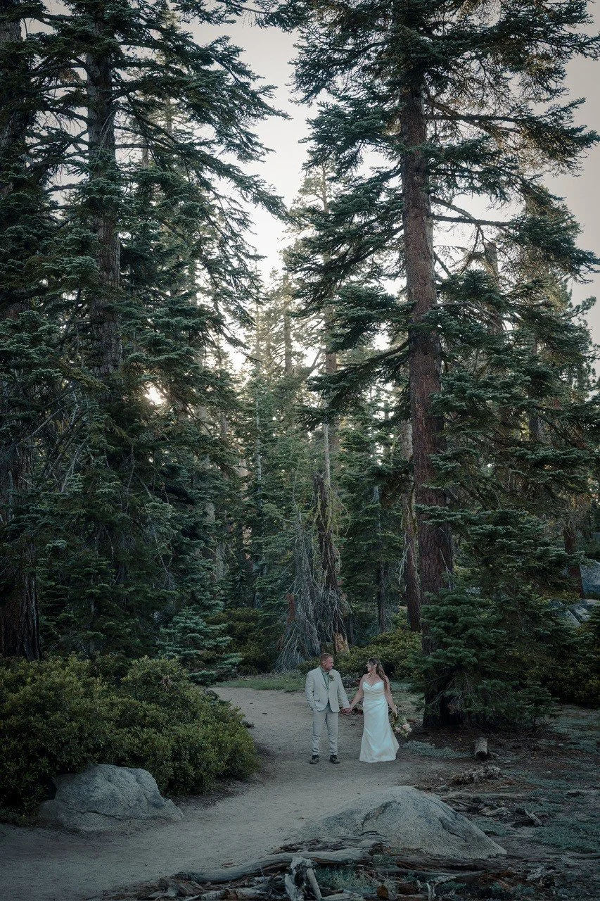 Wedding Amongst the Trees Yosemite National Park.jpeg