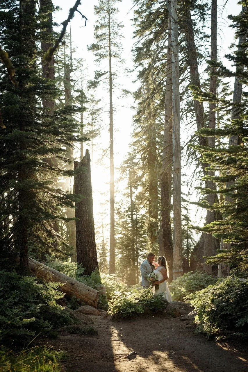 Elopement in Yosemite.jpeg
