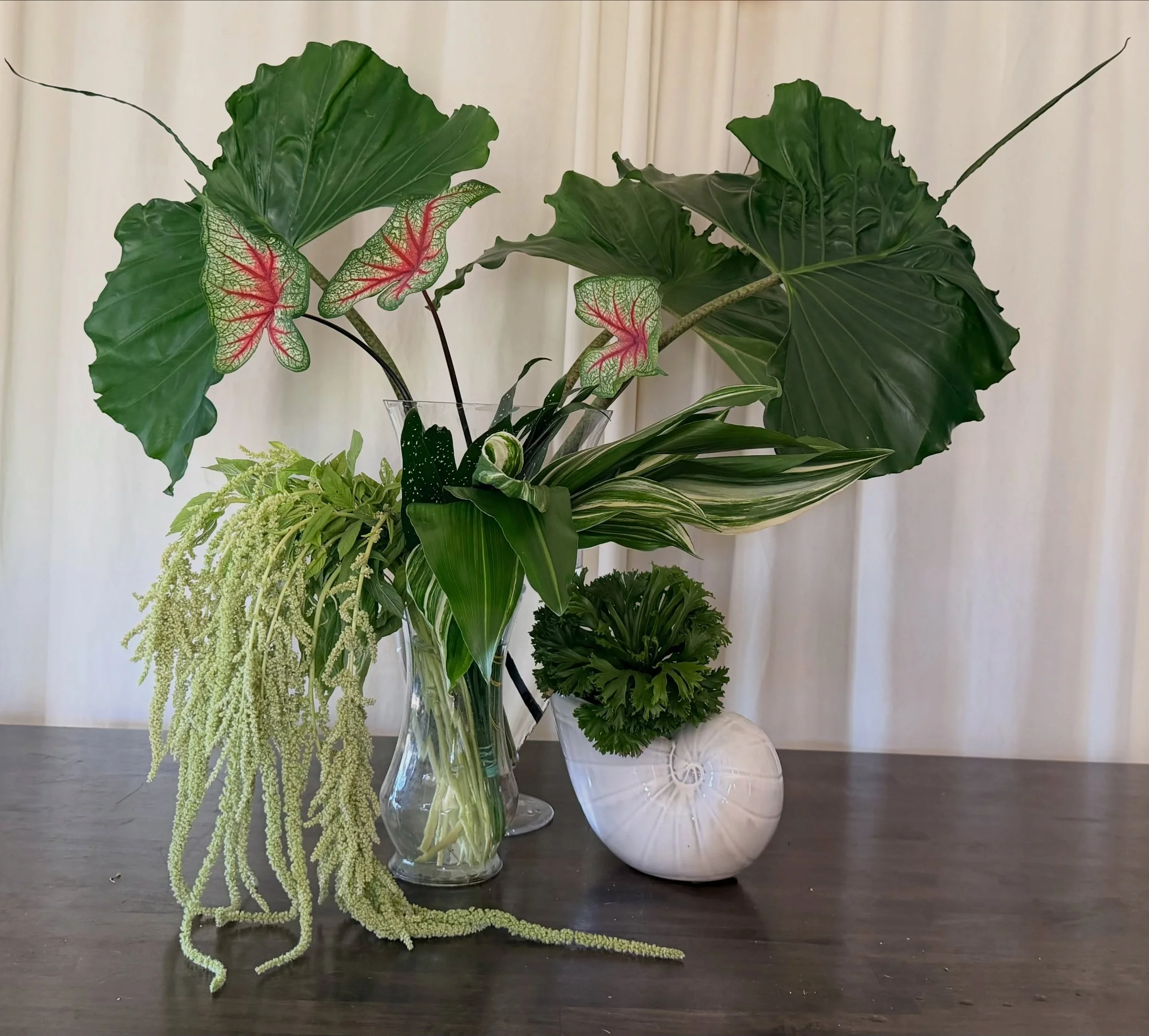 Stingray Alocasia leaves from @mayeshriverside
Characterized by huge upright leaves, deeply defined radiating veins, wonderfully ruffled/wavy edges and that spiked tail. 
.
.
.
#southerncaliforniaflorist #tropicalleaves #riversideflorist