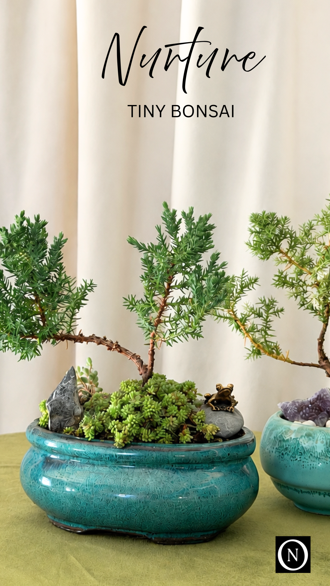 Bonsai by Nurture Plant Delivery Riverside.png