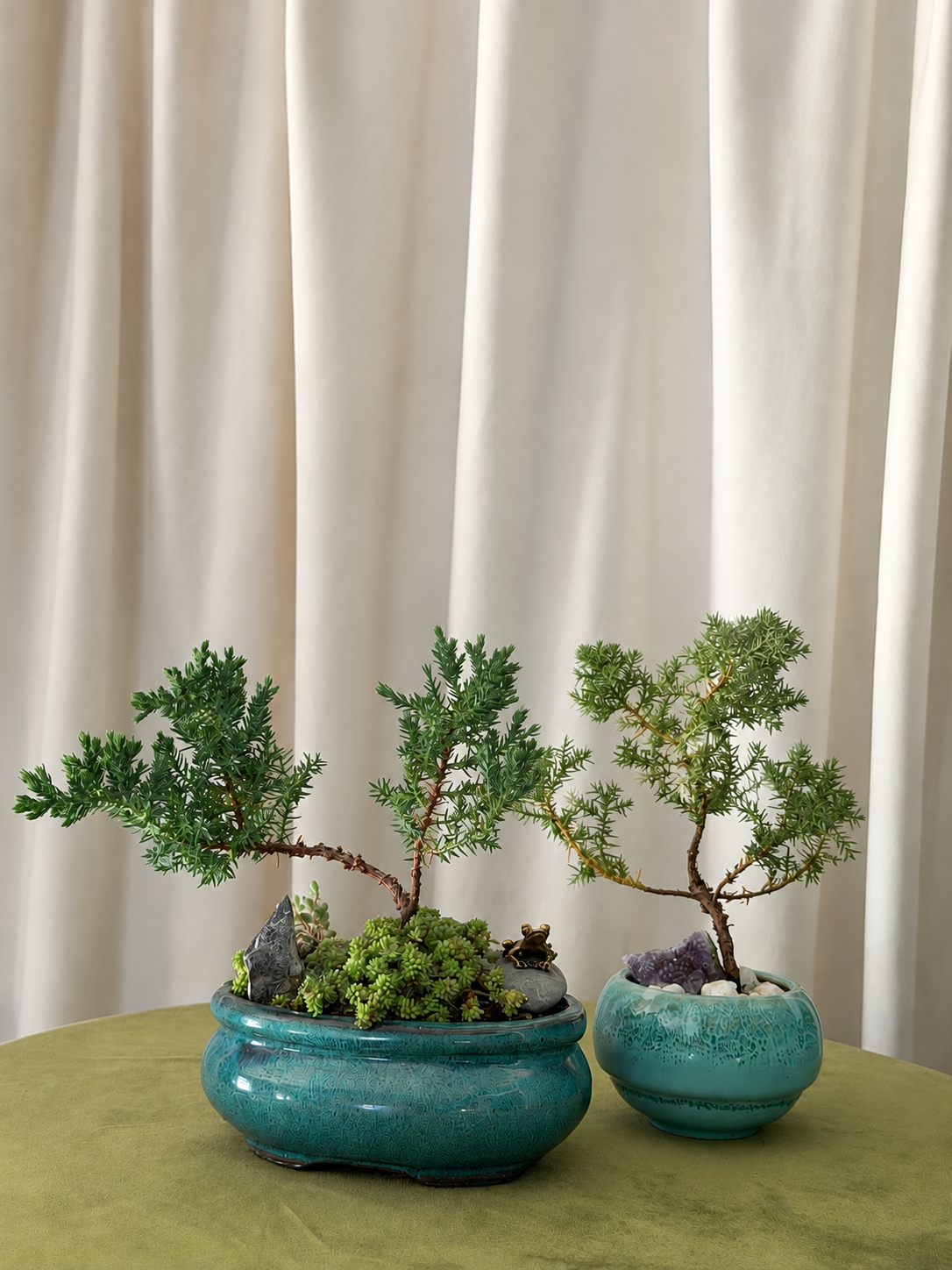 Bonsai and Miniature Gardens Southern California.png