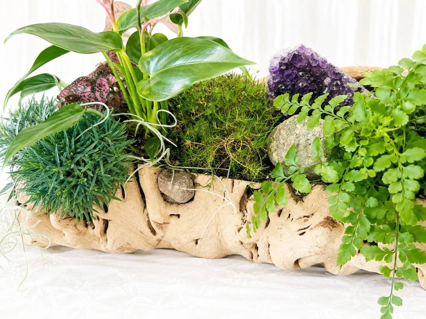Living driftwood planter featuring pink anthurium, maidenhair fern, preserved moss, natural stone, and an amethyst crystal in a handcrafted tabletop garden.