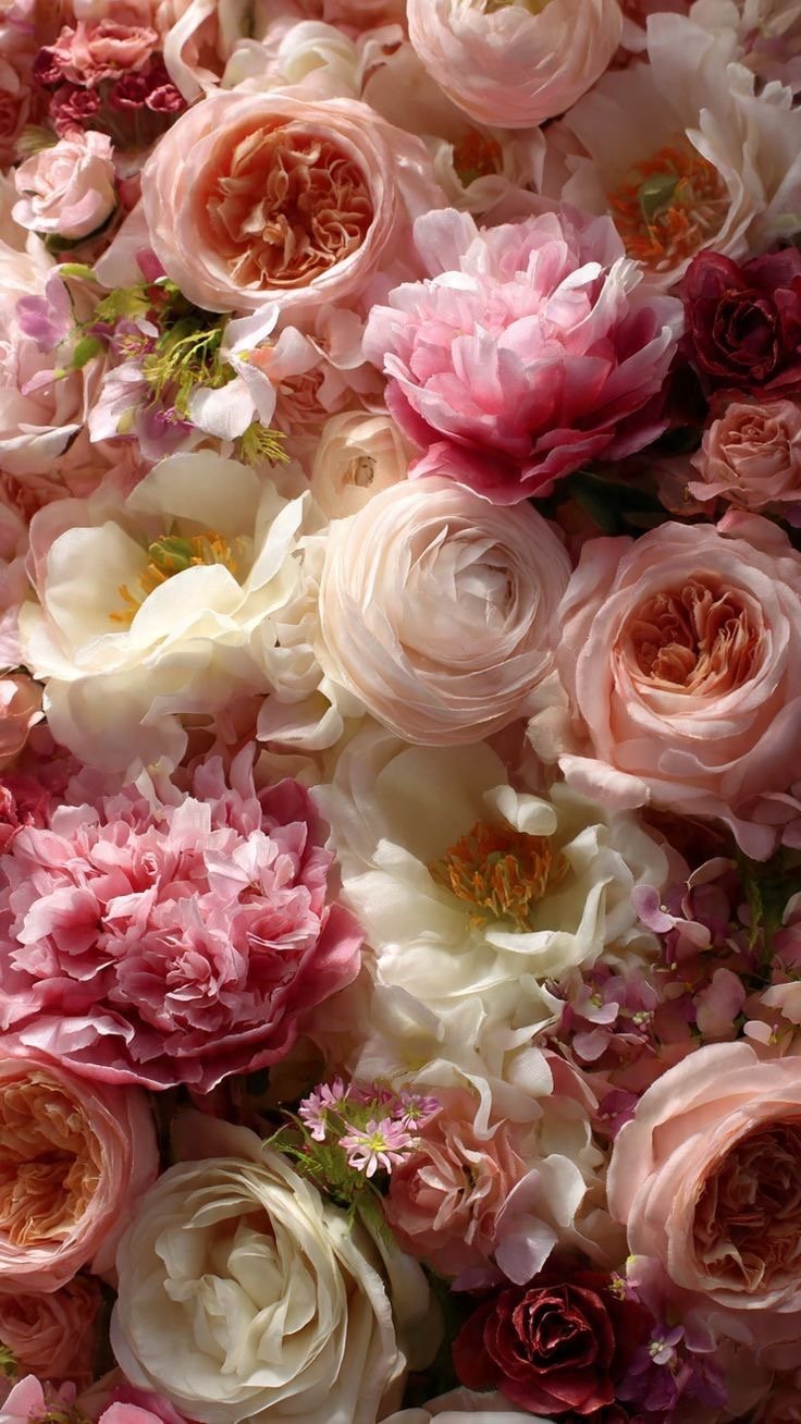 Designer's Choice $175