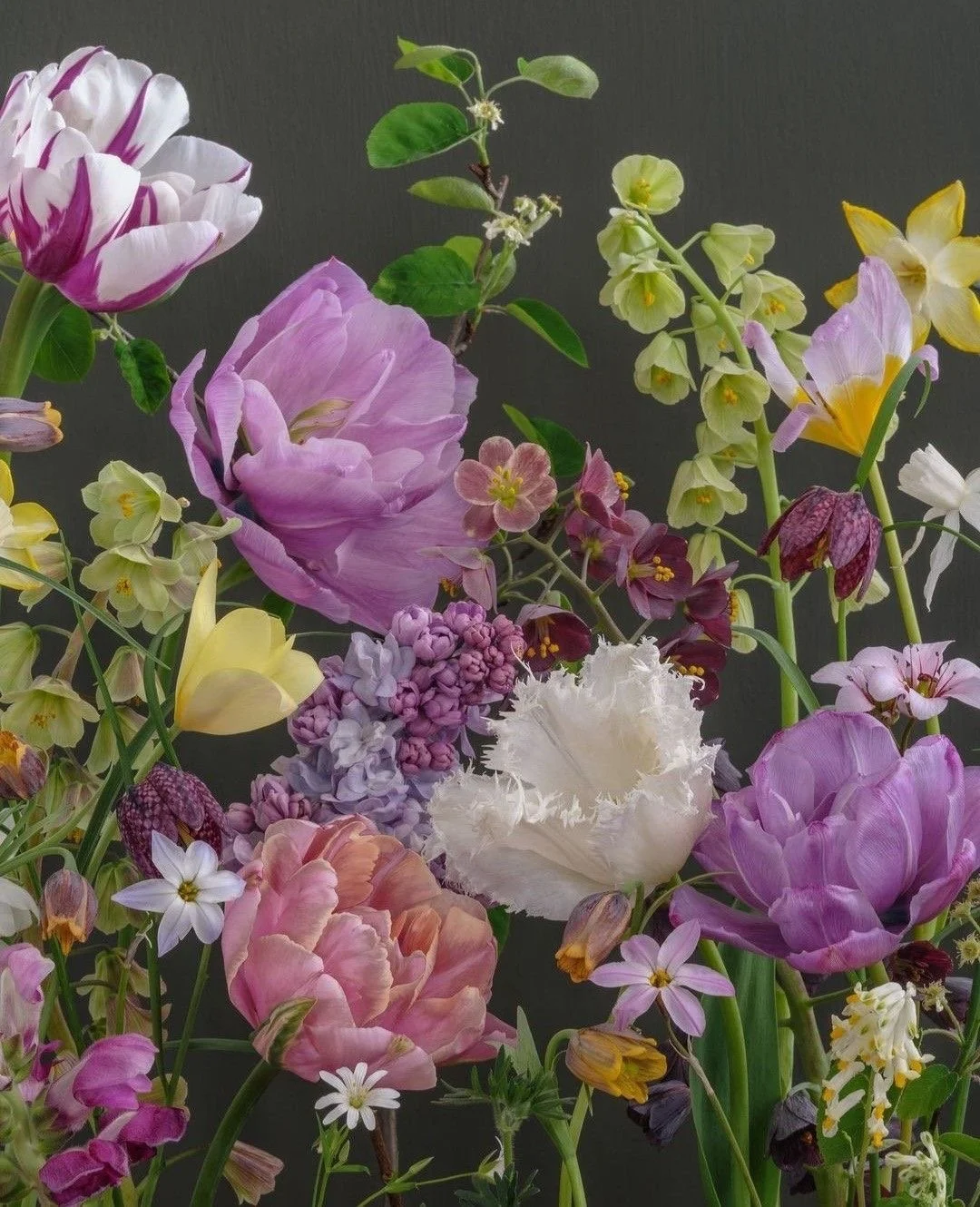 Designer's Choice $300