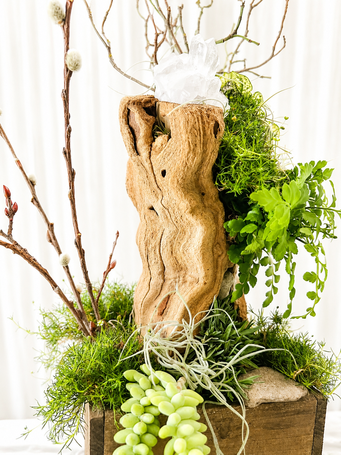 Living driftwood planter with quartz crystal, moss, trailing fern, and air plants in a handcrafted woodland tabletop garden.