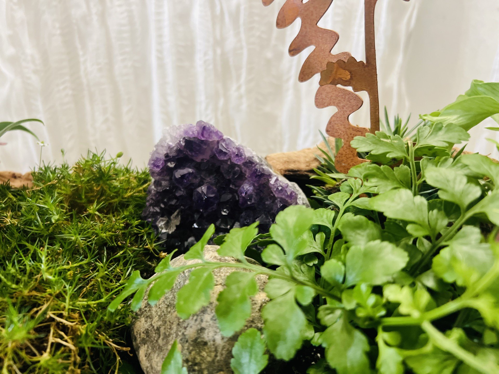 Natural quartz and amethyst crystals nestled among driftwood, preserved Spanish moss, ornamental grasses, and living plants in a luxury desk planter