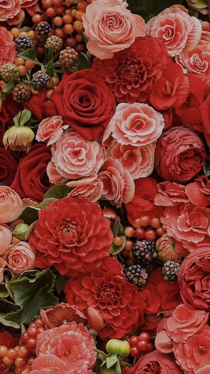 Close-up of deep red blooms with bold color and layered texture