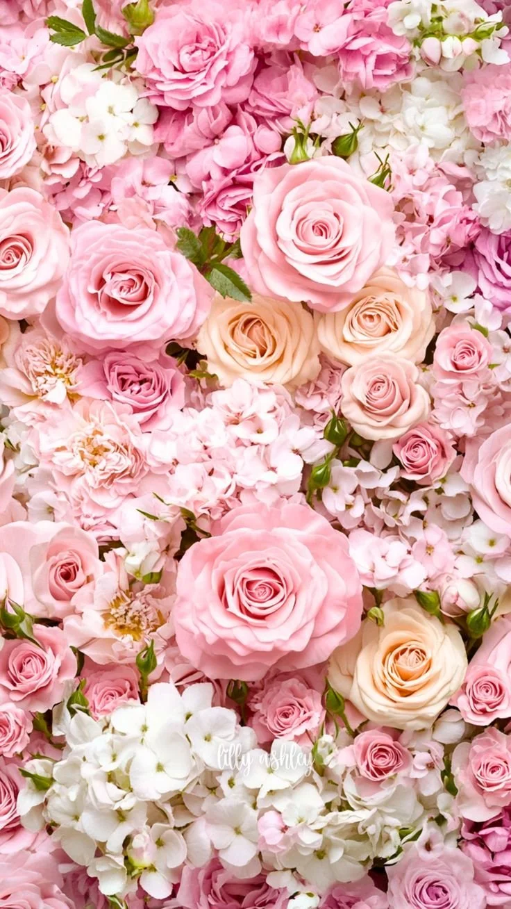 Close-up of pink flowers with soft texture and layered seasonal petals