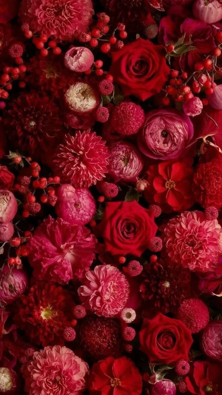 Close-up of rich red flowers with velvety petals in a lush arrangement