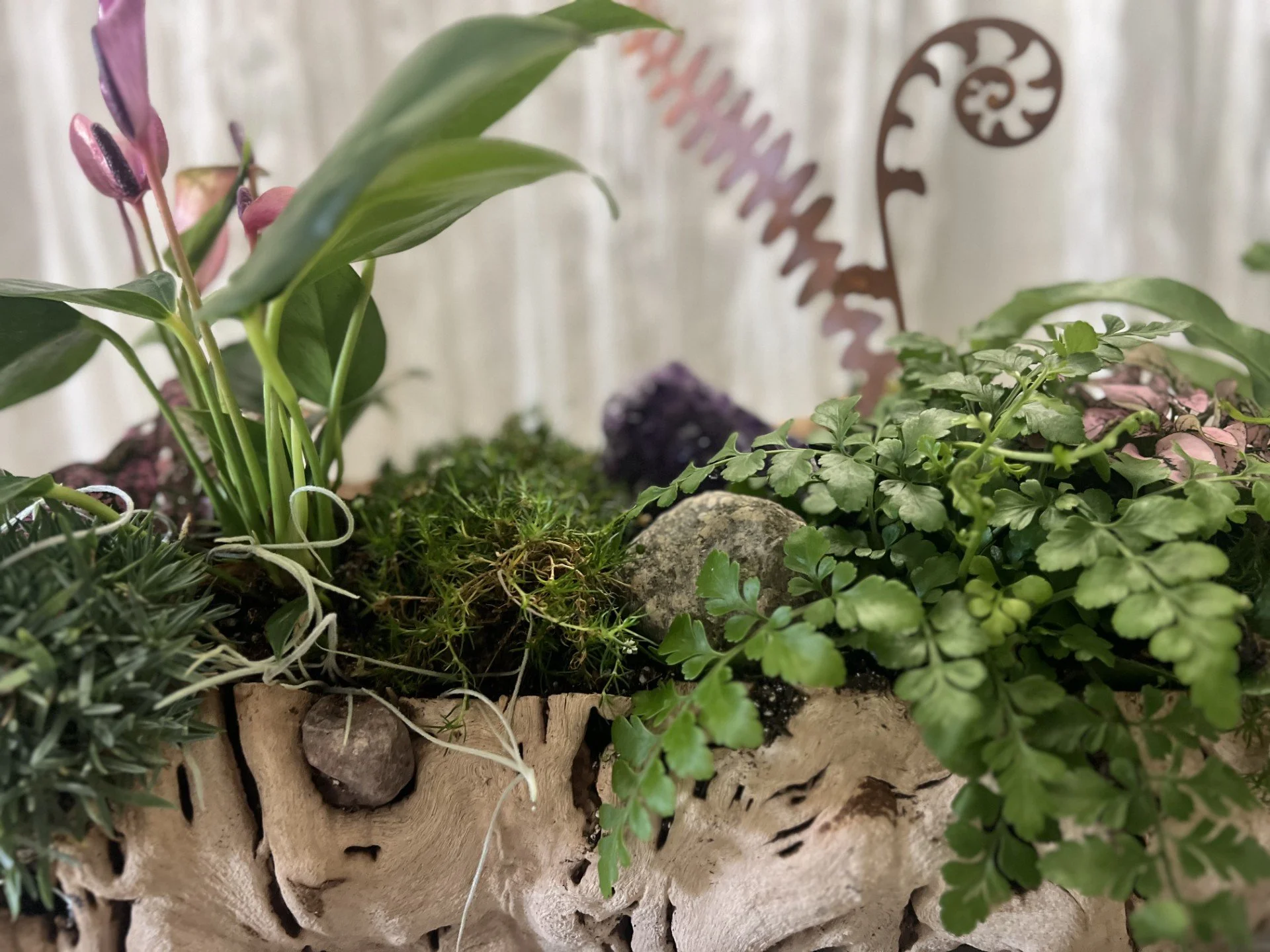 Close-up of a living anthurium plant growing from natural driftwood with ornamental grasses, moss, quartz, and amethyst crystals in a handcrafted office planter