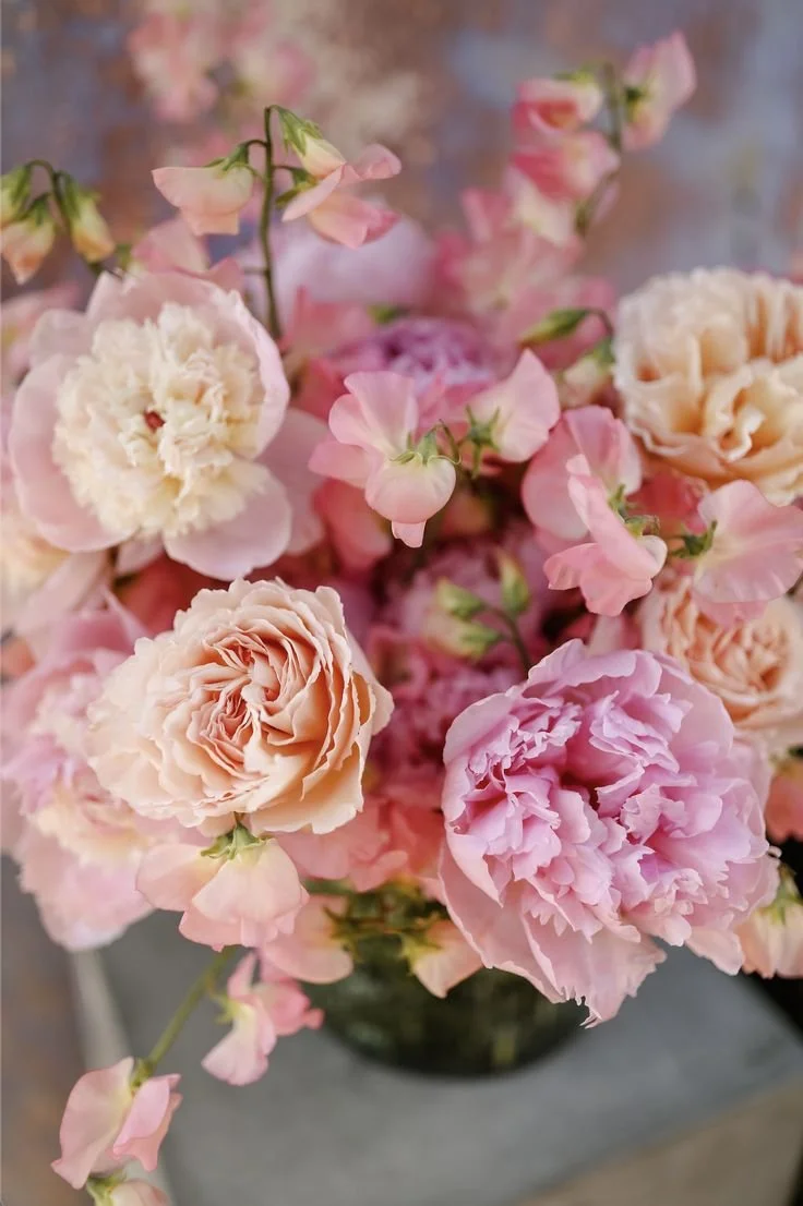 Close-up of elegant pink blooms with natural texture and fresh detail