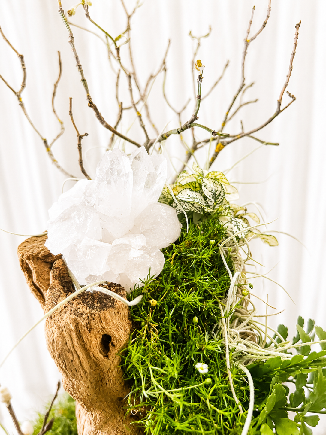 Close-up of clear quartz crystal surrounded by moss, air plants, driftwood, and lush greenery in a living tabletop garden.