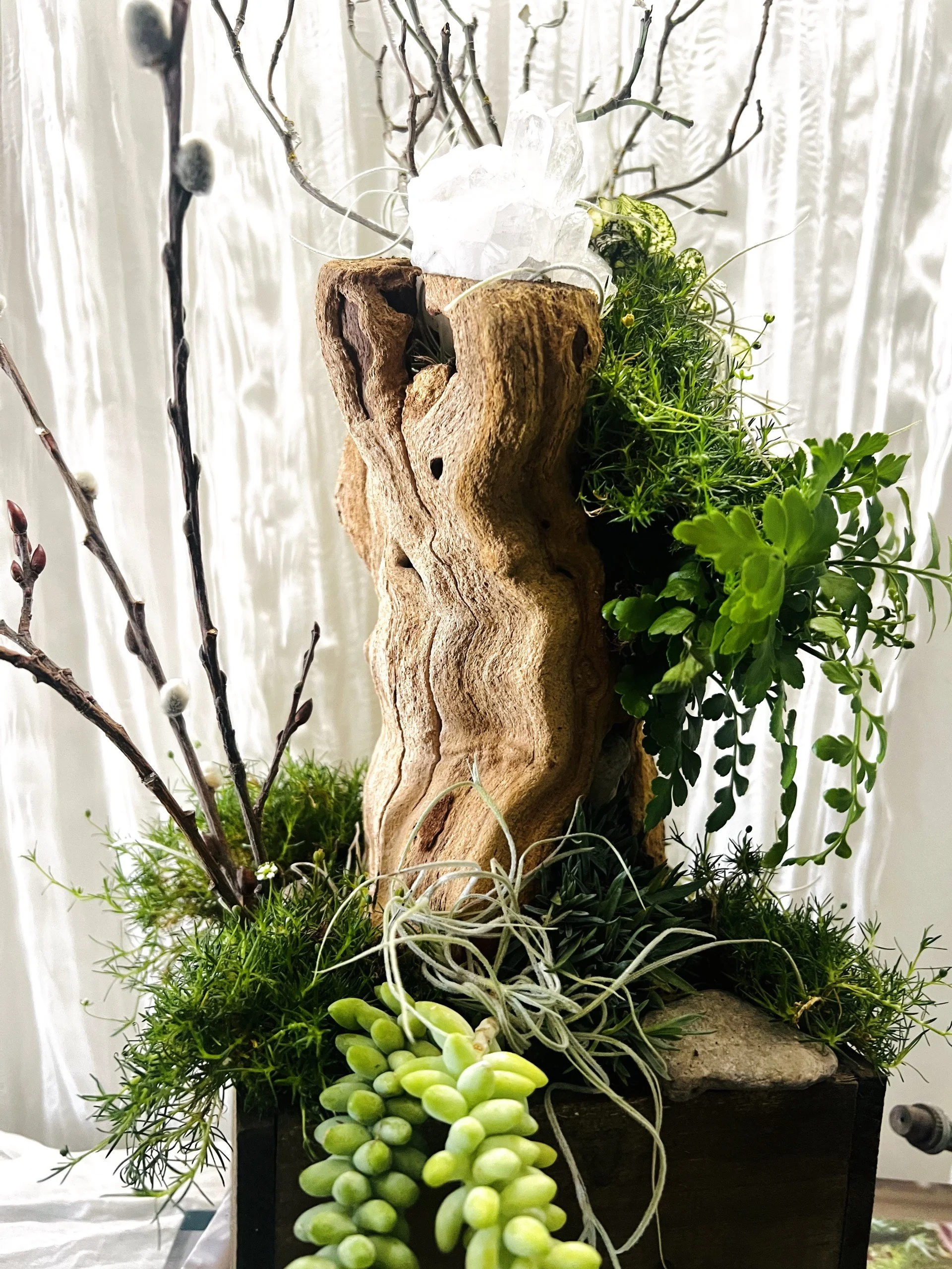Blooming ornamental grasses with delicate white flowers growing among driftwood, moss, succulents, and amethyst in a luxury living desk garden