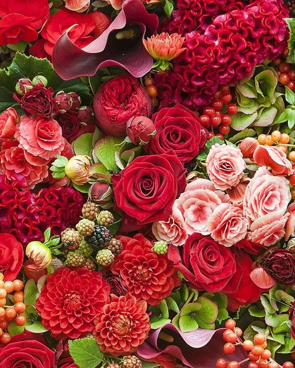 Close-up of red floral arrangement with rich tones and natural detail