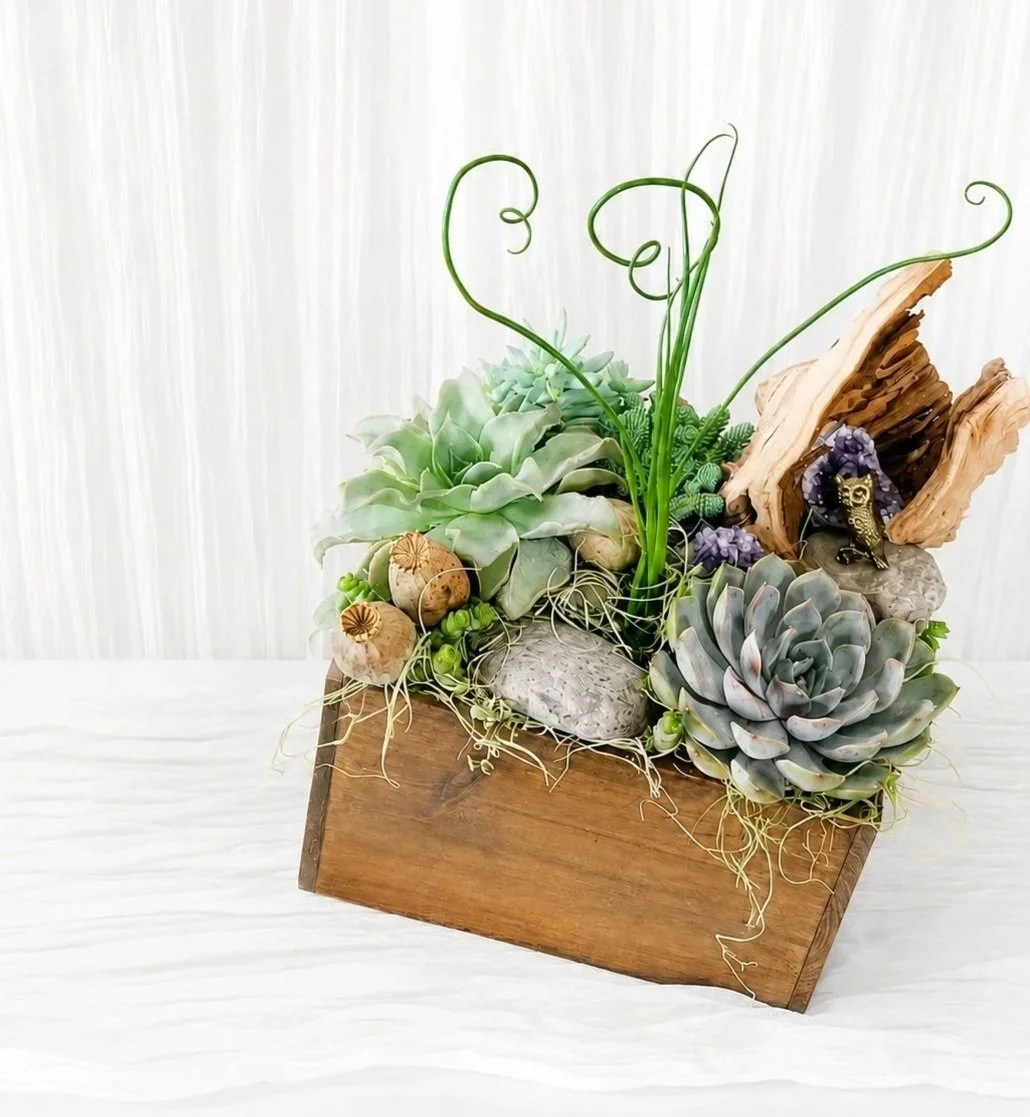 Luxury succulent planter in a handmade wood box featuring premium succulents, natural driftwood, amethyst crystals, decorative seed pods, preserved moss, and sculptural greenery.