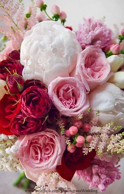 Designer's Choice $95