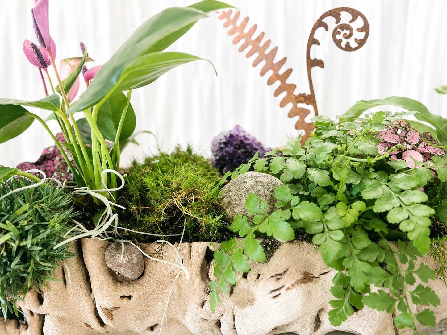 Close-up of a handcrafted living tabletop garden featuring maidenhair fern, pink polka dot plant, preserved moss, natural stone, and an amethyst crystal in a driftwood planter.