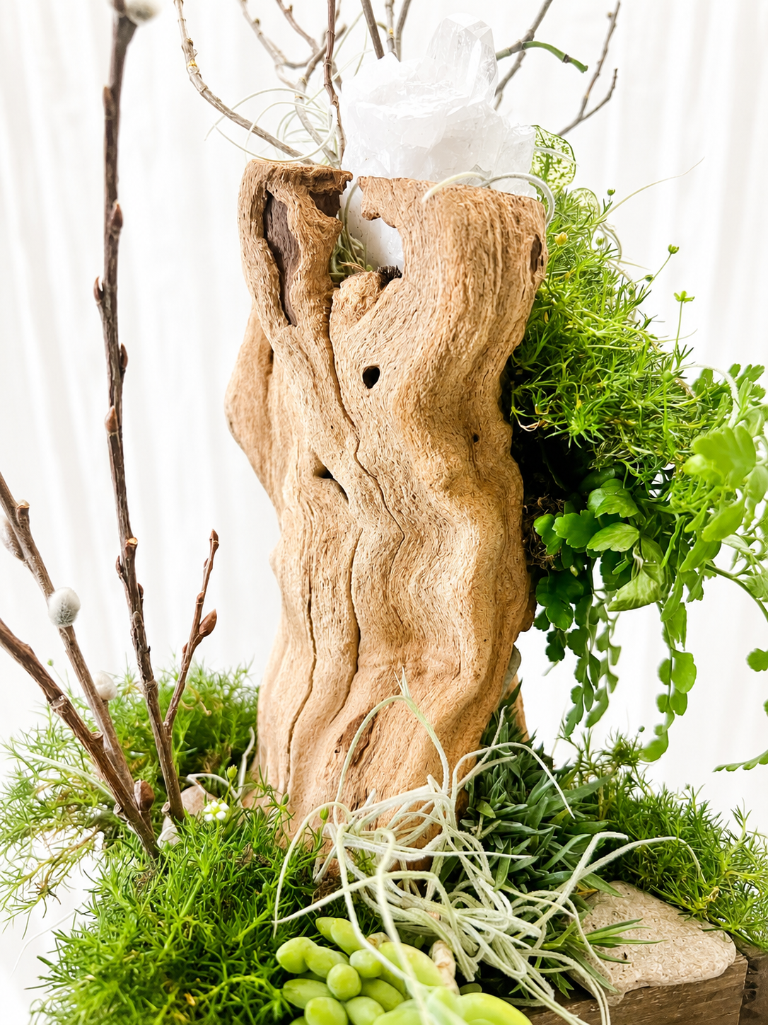 Front view of handcrafted driftwood planter with quartz crystal, ferns, moss, air plants, and cascading succulent.