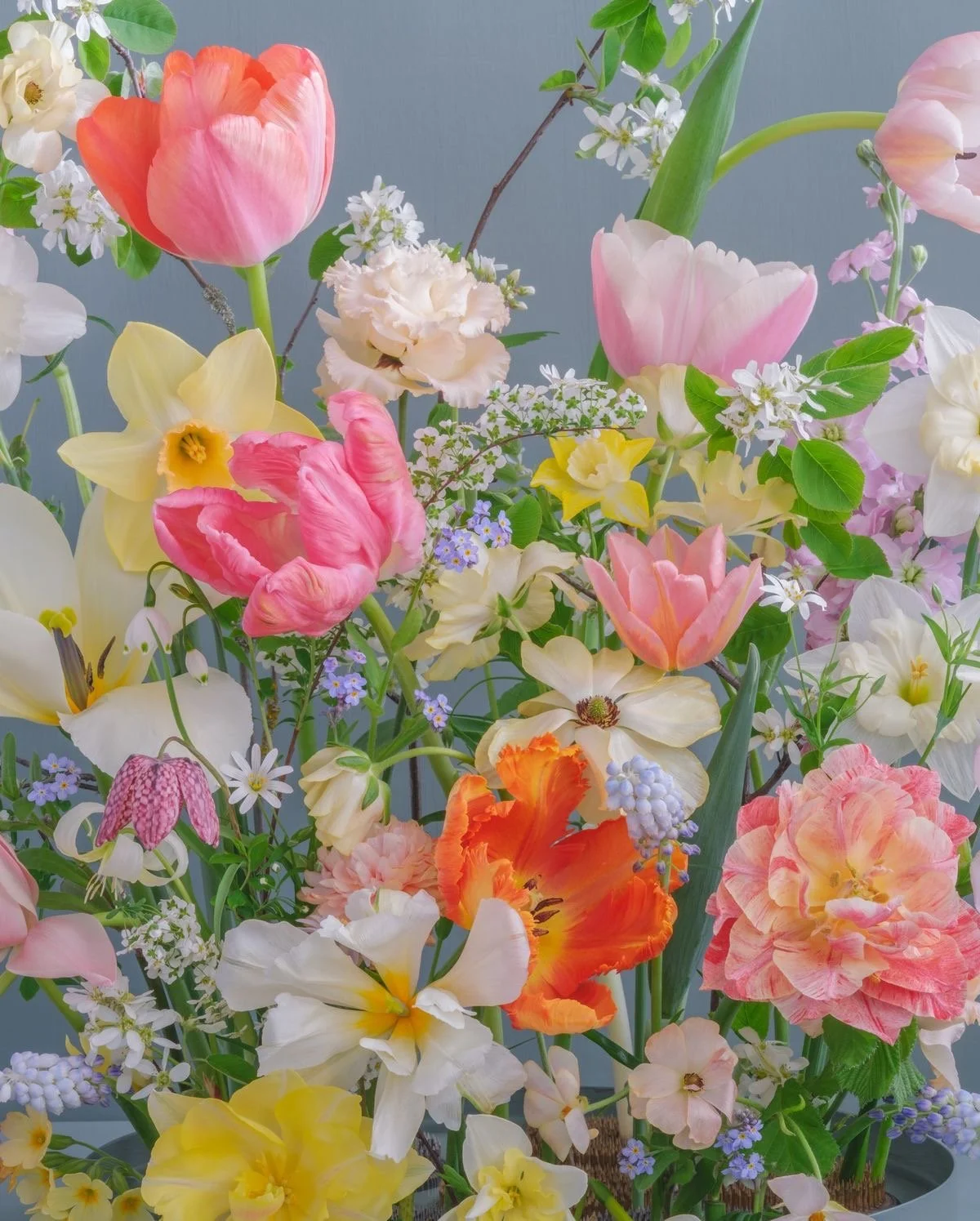 Designer's Choice $125