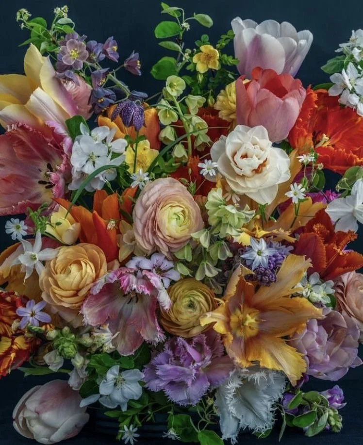 Designer's Choice $400