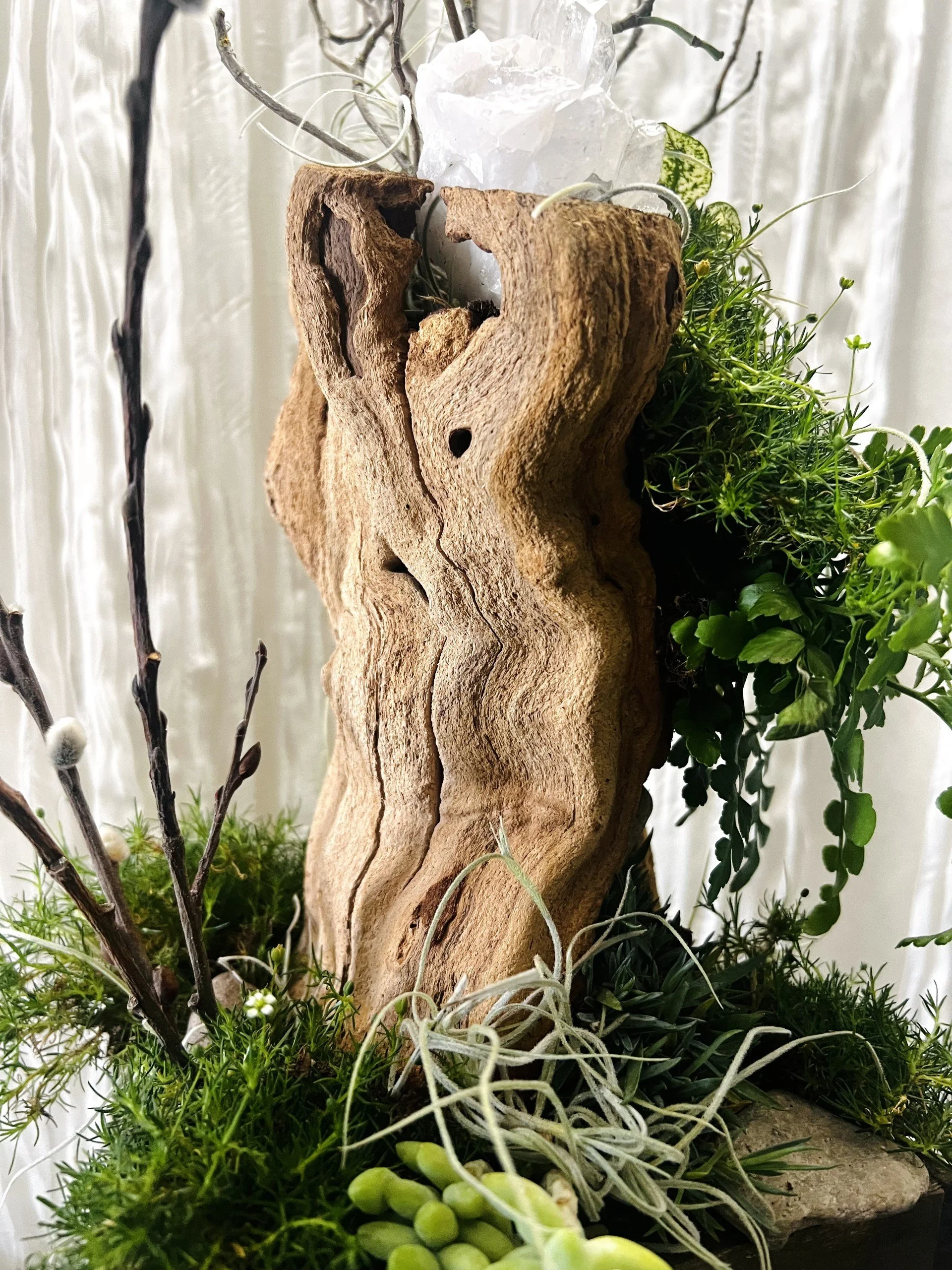 Assorted succulents growing in a handcrafted wood planter with white flowering grasses, moss, and natural botanical accents for office décor