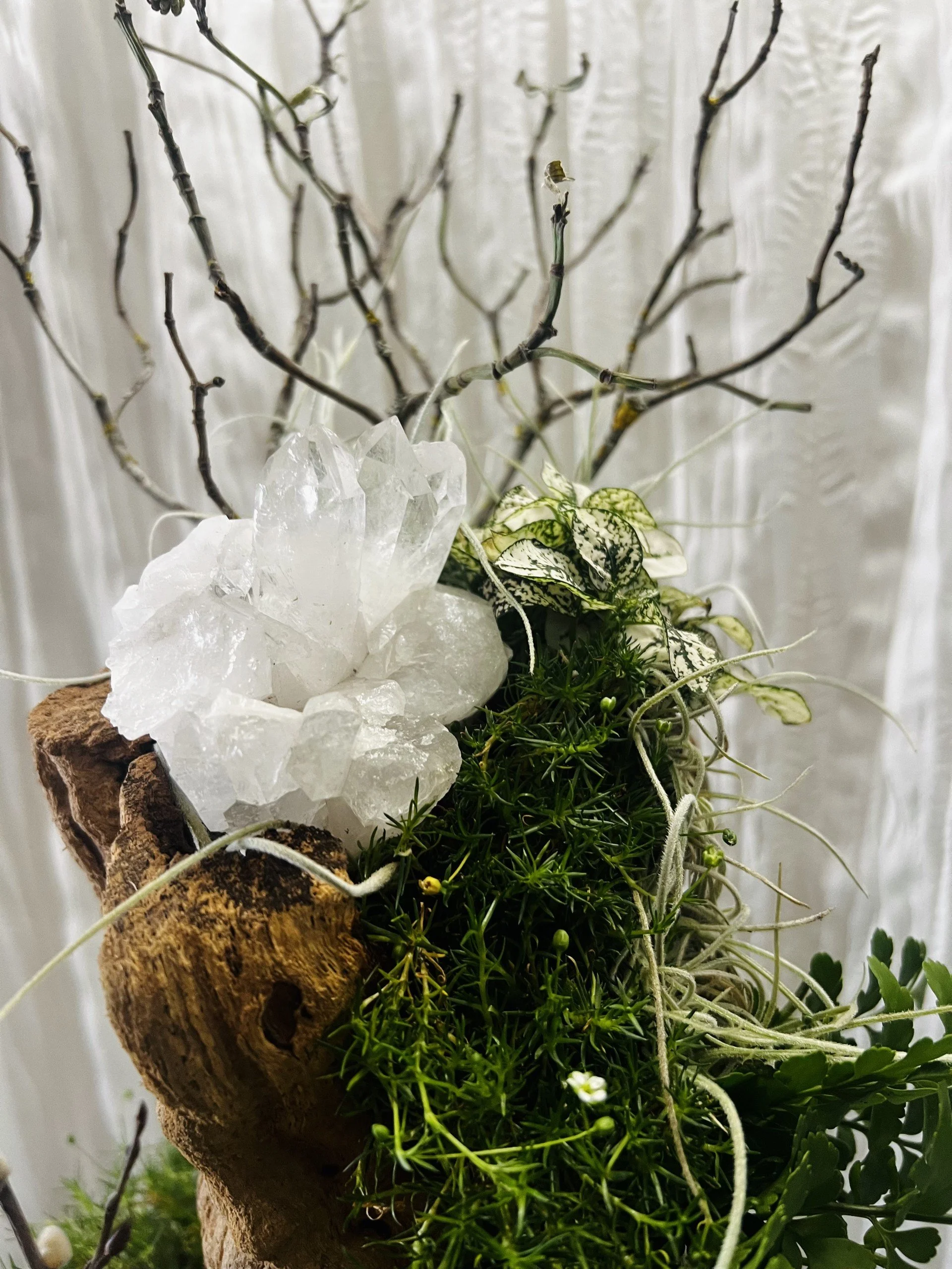 Close-up of natural driftwood, genuine quartz crystals, succulents, Spanish moss, and blooming grasses in a handcrafted living desk planter