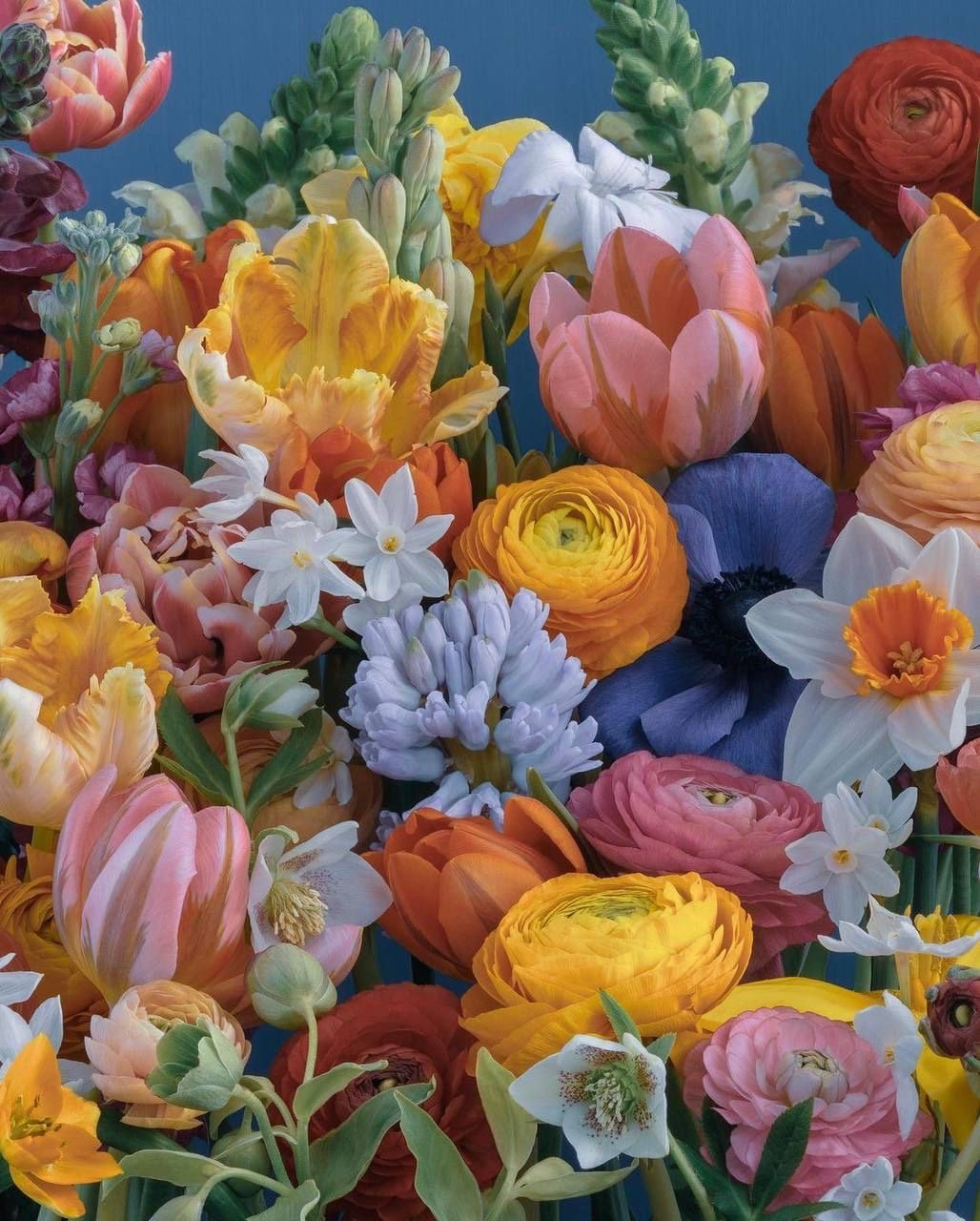 Designer's Choice $150