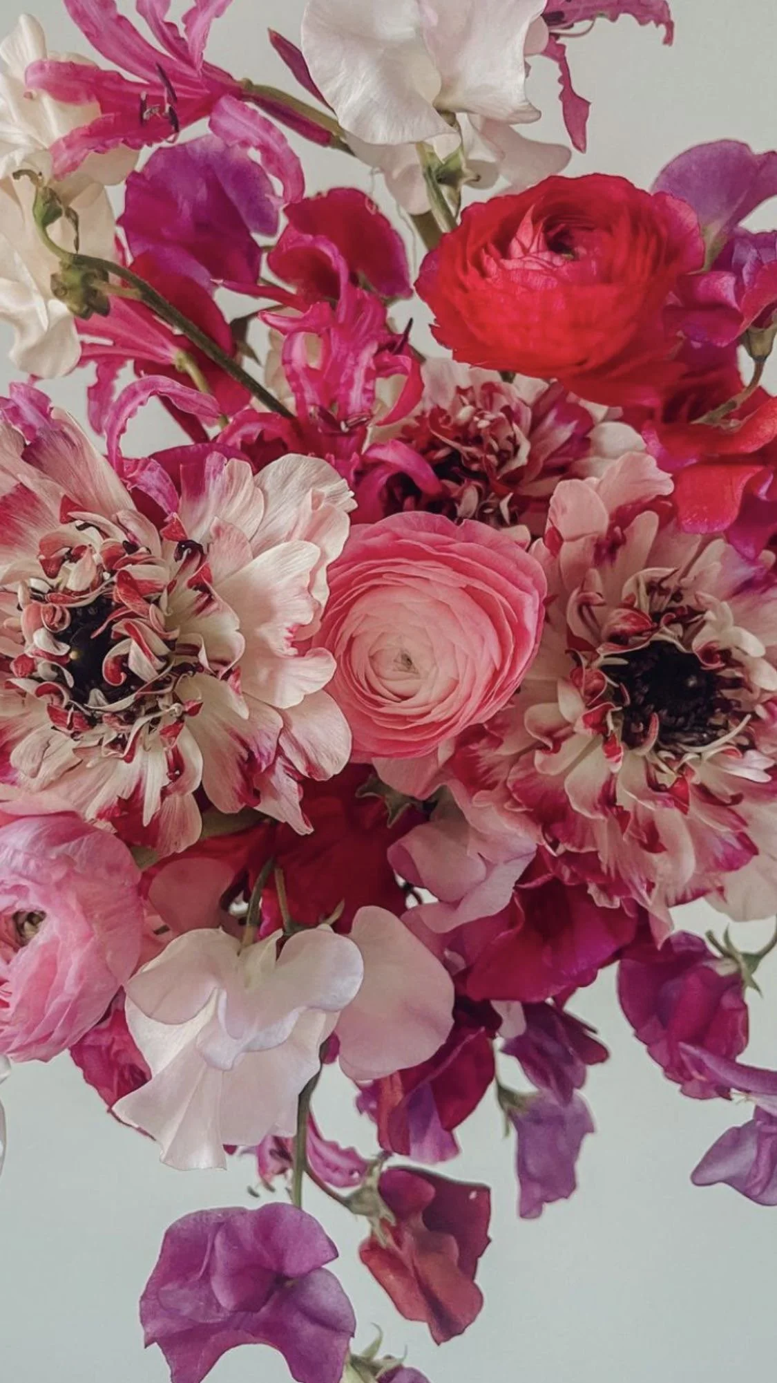 Designer's Choice $125