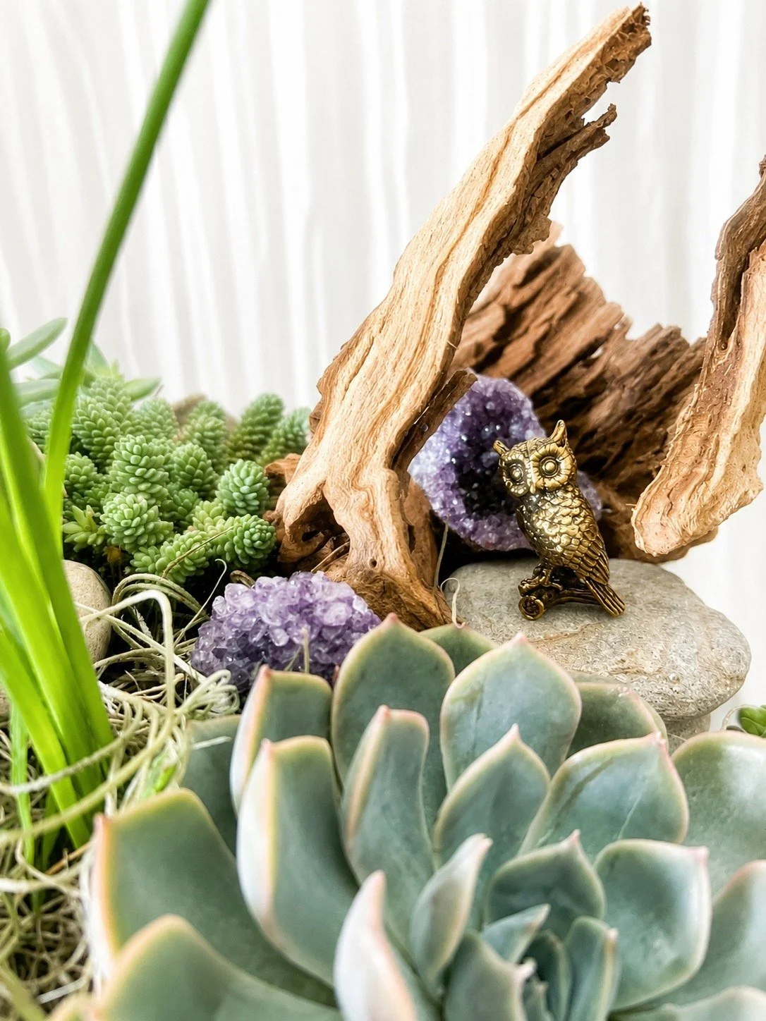 Side view of a handcrafted succulent garden with premium succulents, textured ferns, driftwood, river rock, and genuine amethyst displayed in a handmade wooden planter.
