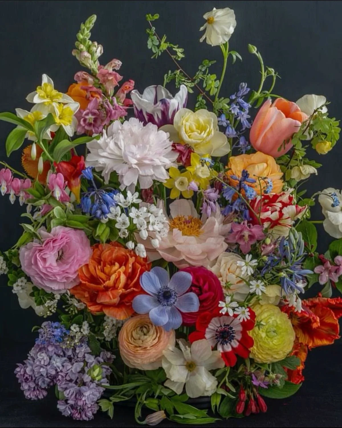 Designer's Choice $500