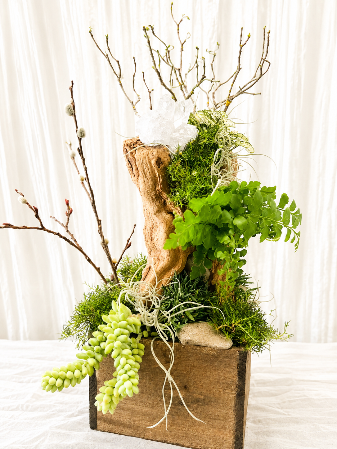 Woodland-inspired living driftwood planter featuring quartz crystal, moss, ferns, air plants, and succulent in a wood planter.