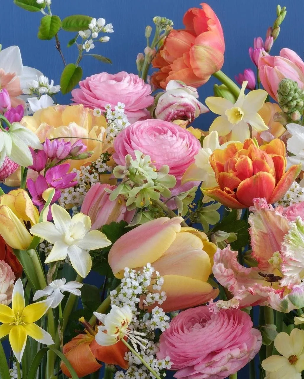 Designer's Choice $175