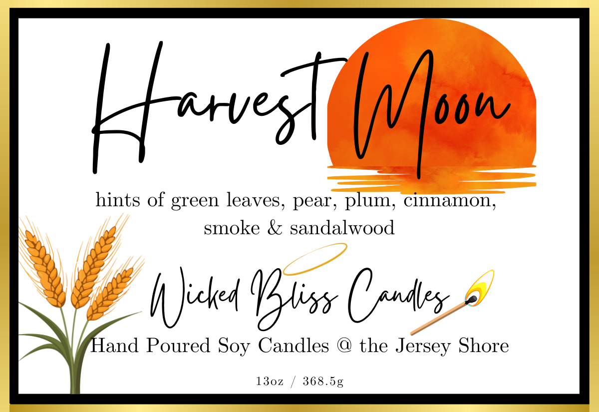 harvest moon 13 (1).png