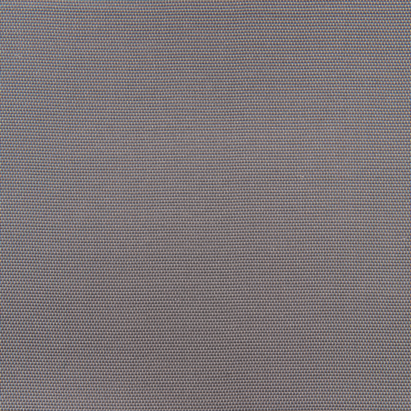 2621