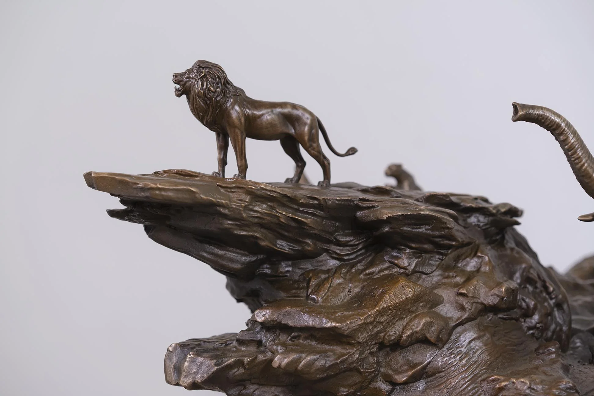 8 Dangerous Animals - 37” long x 30.5 wide x 20 tall