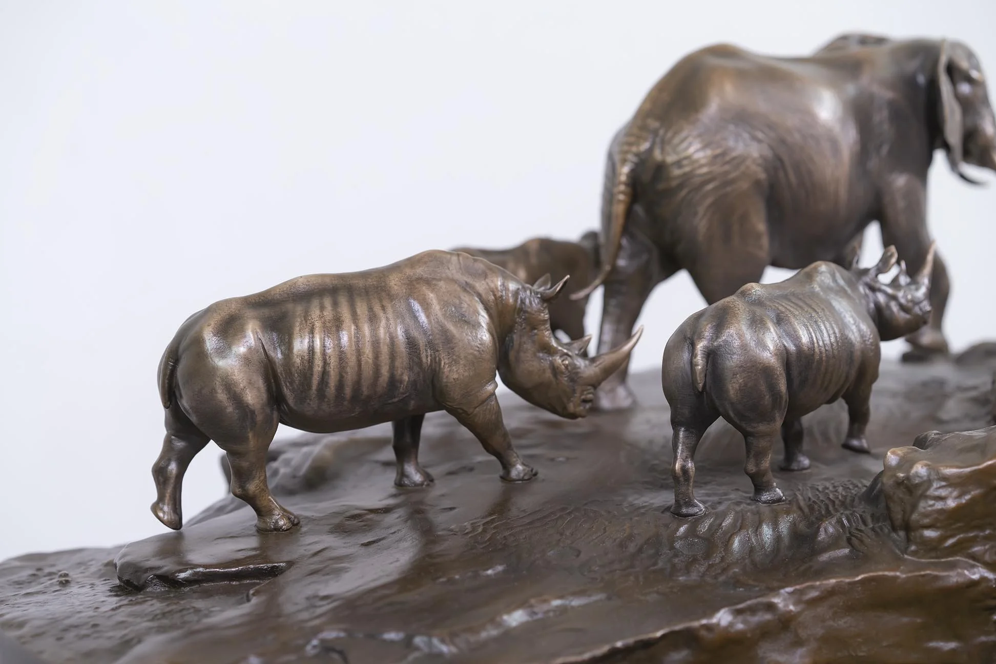 8 Dangerous Animals - 37” long x 30.5 wide x 20 tall