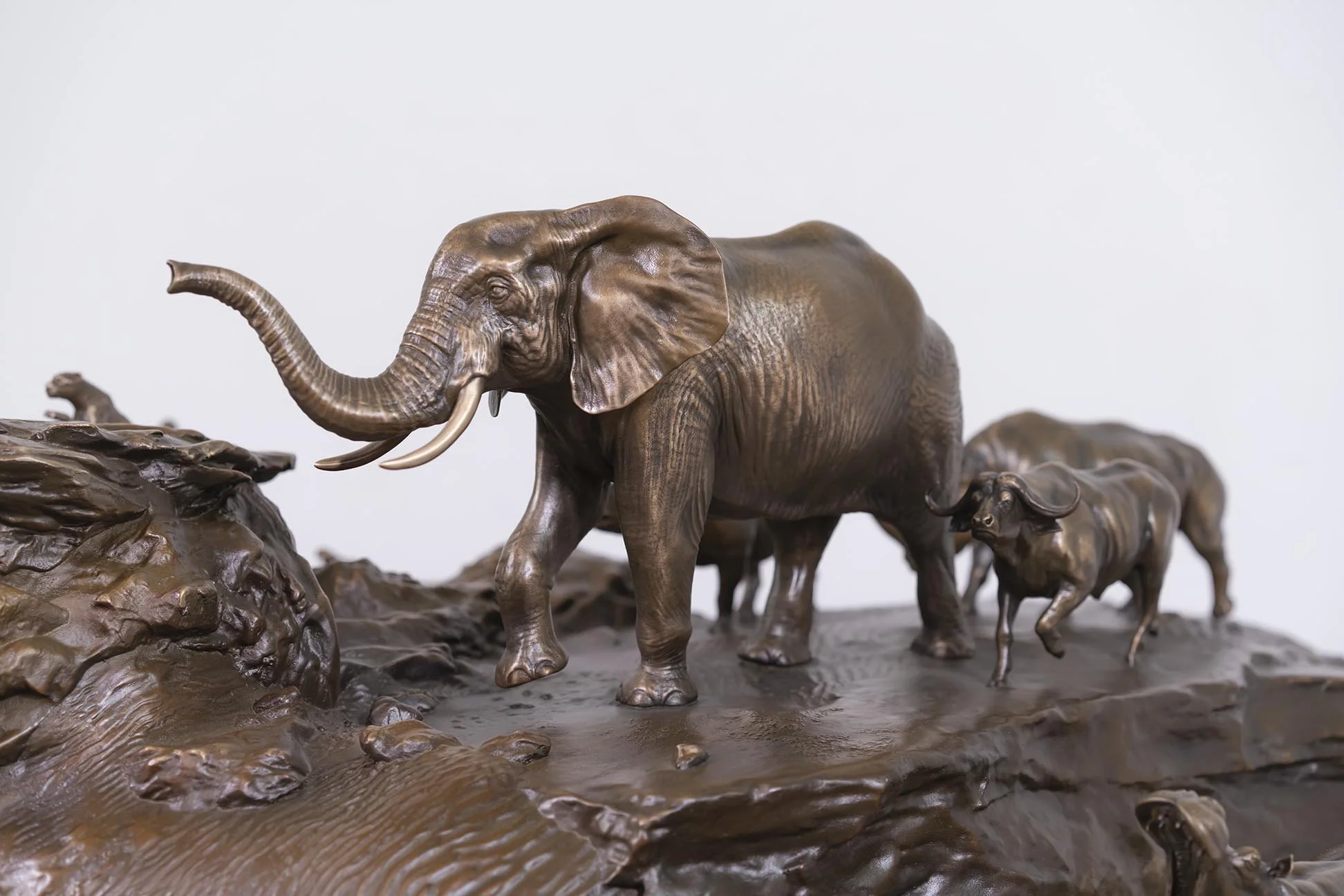 8 Dangerous Animals - 37” long x 30.5 wide x 20 tall