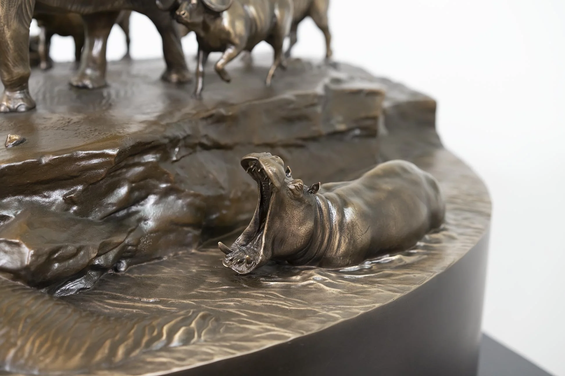 8 Dangerous Animals - 37” long x 30.5 wide x 20 tall