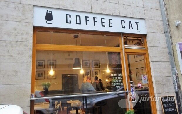 coffe-cat-21935-620x390.jpg