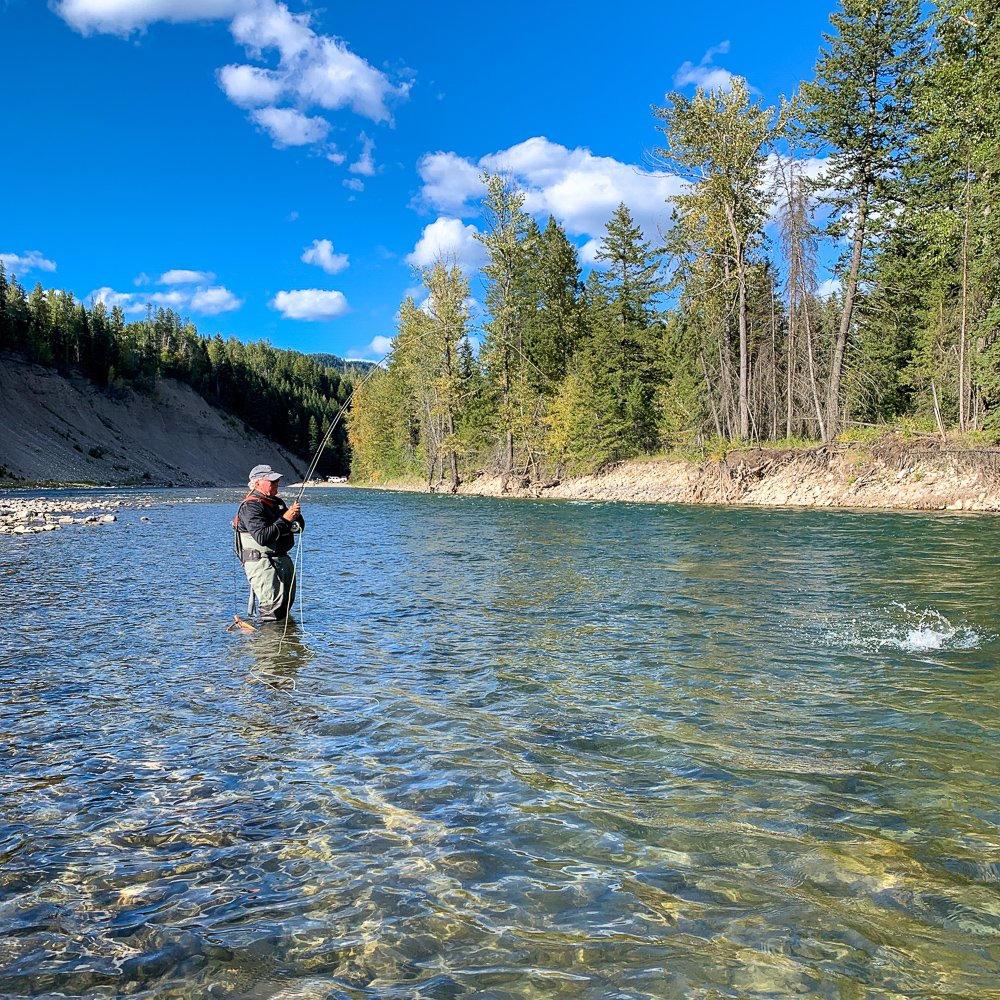 Elk River Cutthroat.jpg