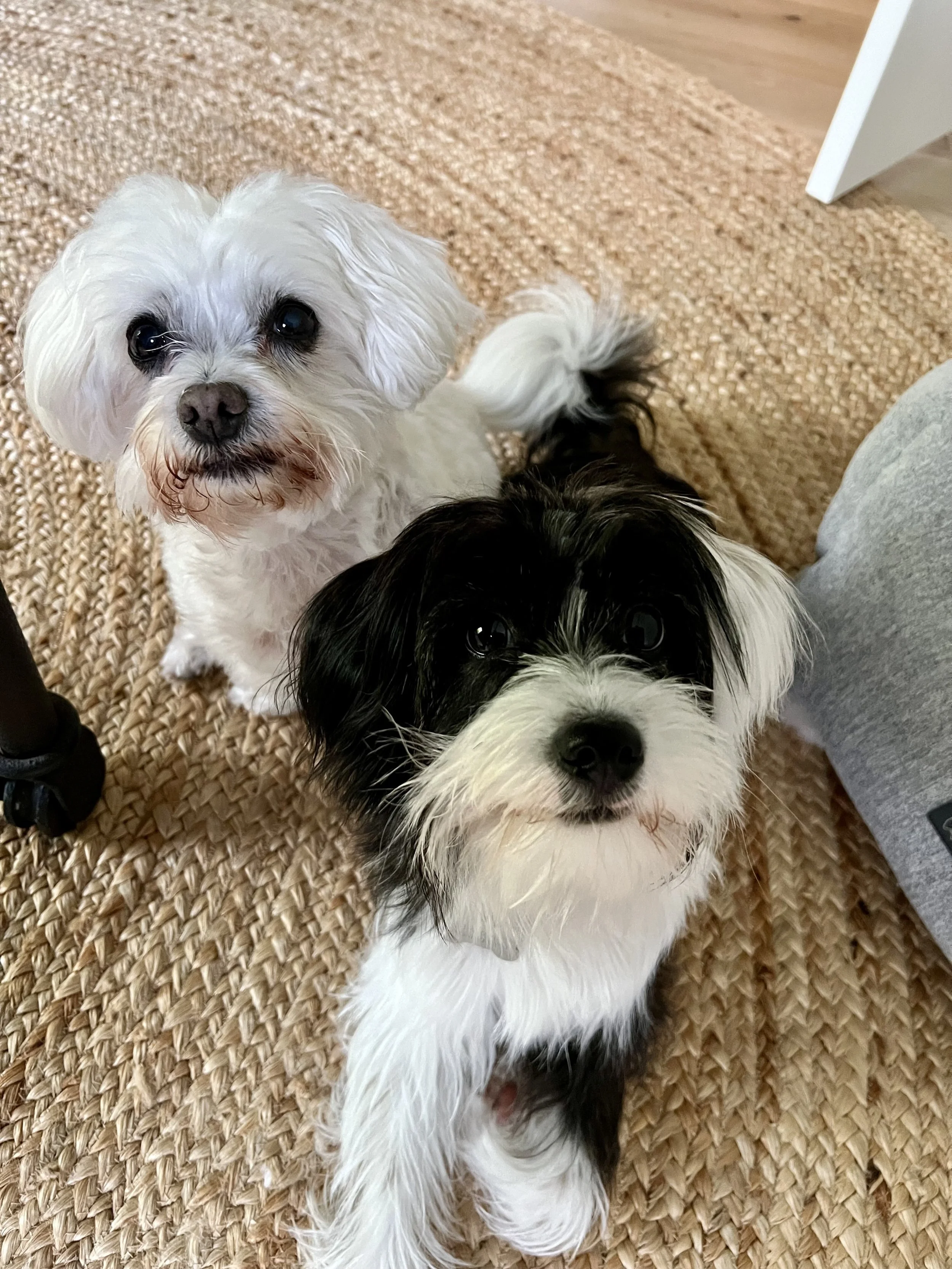 IMG_8193 (1).jpg (Copy)