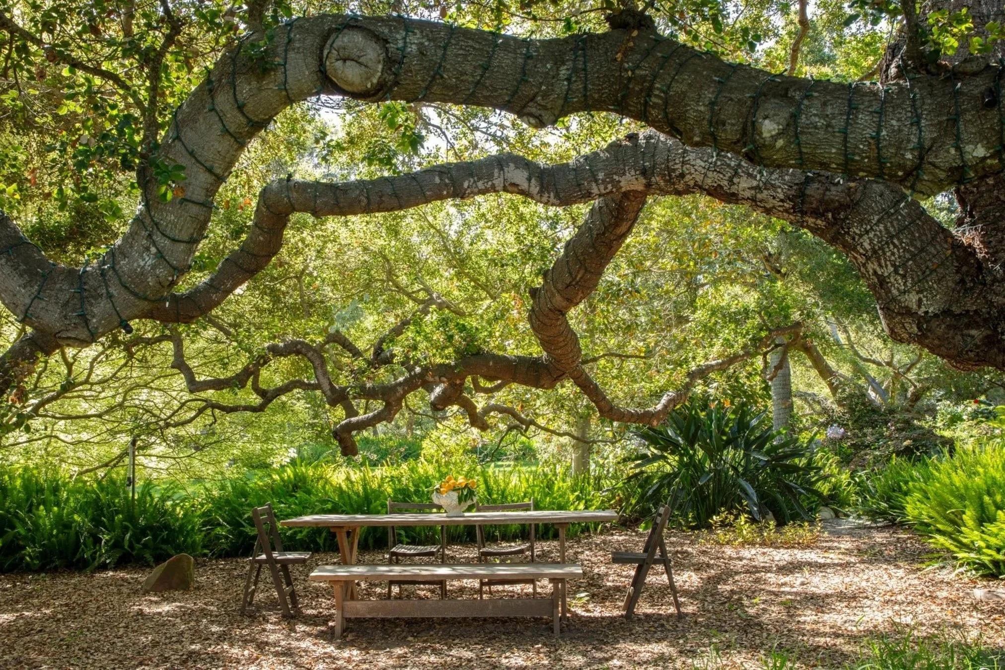 THE BEAUTY OF MONTECITO GARDENS & OUTDOOR LIVING