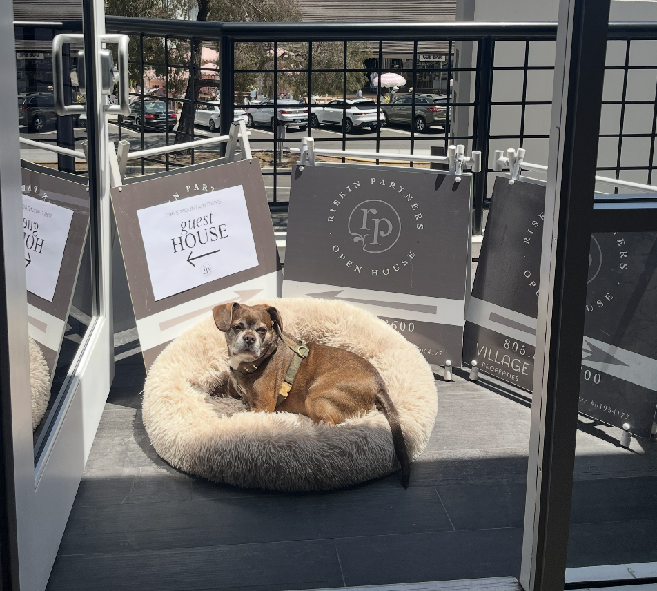 Screenshot 2025-12-23 at 11.03.33 AM.png